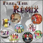 Feel The Remix - Anusha Mani Song Download